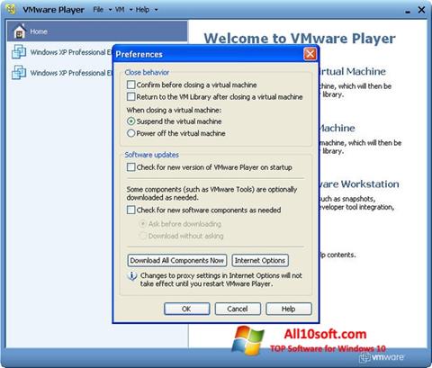截图 VMware Player Windows 10