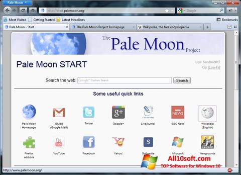 截图 Pale Moon Windows 10