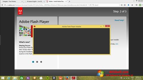 截图 Adobe Flash Player Windows 10